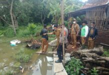 Camat Sukagumiwang Minta BBWSC Cisanggarung Tangani Tanggul Amblas di Blok Gumiwang Utara