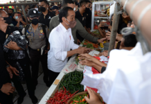 Gubernur Sumut Dampingi Jokowi Bagikan Bantuan Modal di Pasar Kebun Lada Binjai
