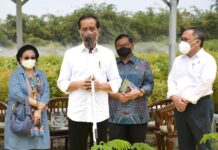 Presiden Joko Widodo Rehabilitasi Lahan Kritis Dimulai dari Pembangunan Persemaian