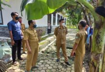 Petani Tetap Waspada Organisme Pengganggu Tumbuhan Padi