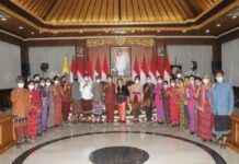 Webinar Dengan Tema “Implementasi Semangat Kartini Menuju Bali Era Baru”