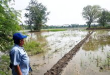 Prof. Dr. Agus Aris Munandar M.Hum Guru Besar Arkeologi UI Kunjungi Candi Sambimaya
