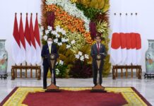 President Jokowi and PM Kishida Agree On Several Indonesia-Japan Cooperation