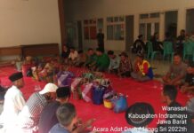 Pemdes Wanasari Adakan Budaya Tradisi Mapag Sri