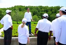 Presiden Jokowi Bersama Para Pemimpin Negara G20 Tanam Pohon Mangrove di Tahura