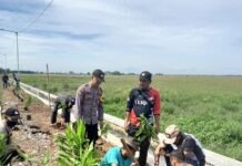 Pemdes Lelea Turut Tekan Inflasi Lewat Puspa Bermartabat