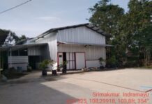 PEMKAB INDRAMAYU BANGUN RUMAH RMU DAN LUMBUNG PANGAN MASYARAKAT (LPM) UNTUK KETAHANAN PANGAN