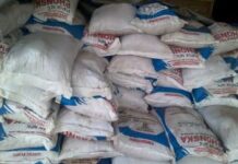 Kepala DKPP Kabupaten Indramayu Jalin Sinegritas Dengan TNI GUNA WUJUDKAN KETAHANAN PANGAN