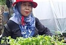 CAMAT JUNTINYUAT DAN KADES JUNTIWEDEN DORONG WARGA MANFAATKAN LAHAN PEKARANGAN RUMAH