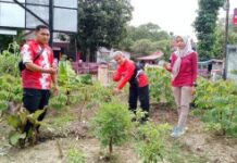 Pemerintah Kecamatan Terisi Dorong Warga Manfaatkan Lahan Ditanami Sayuran