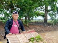 CAMAT TERISI UJICOBA MESIN TRANSPLANTER UNTUK MENANAM PADI