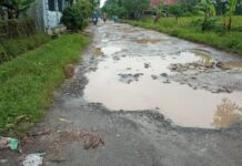 Ketua Karang Taruna Dan Camat Kroya Tanggapi Jalan Rusak Jayamulya