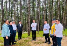 Hari Ketiga Di Kaltim, Presiden Awali Hari Nikmati Suasana Pagi Di IKN