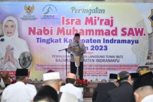 nabi 2