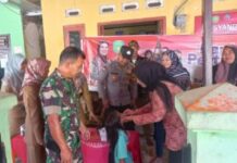 PEMCAM TUKDANA LAKUKAN MONITORING POSYANDU DI DESA TUKDANA