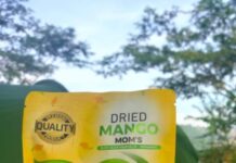 PELUANG BISNIS EKONOMI PRODUK UMKM “MANGO MOMS” IKUT ETHNIC FOOD TAHUN 2023