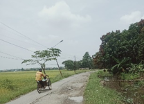 BERITA FOTO:Jalan menuju Sentra Pabrik Kerupuk Desa Penyindangan Wetan Kecamatan Sindang Rusak Bukti Kinerja Kepala Dinas PUPR Kab Indramayu Lamban Perbaiki Jalan