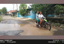 Berita Foto:Jalan Desa Drunten Wetan Kecamatan Gabus Wetan Rusak….!