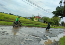 Berita Foto:Jalan Kabupaten Indramayu Desa Majasari Dan Tambi Lor RUSAK-RUSAK…..!