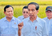 Presiden Jokowi Minta Badan Pangan Nasional Hitung Harga Gabah Kering Petani