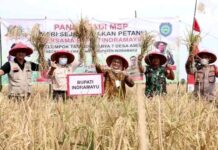 Gerakan Cinta Dan Manfaatkan Produk Lokal Untuk Tingkatkan UMKM Pada Petani