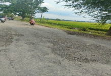 Jalan Kabupaten Indramayu Desa Majasari Dan Tambi Lor RUSAK DAN RUSAK….!