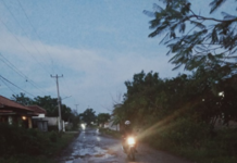 BERITA FOTO:Status Jalan Kabupaten Buktinya Jalan Makin Rusak Di Sindang Blok Jembatan Sindang
