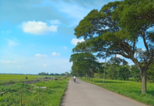 BEGINILAH KONDISI JALAN TANPA PJU GELAP:Sepanjang Jalan Lelea Sampai Desa Nunuk Kabupaten Indramayu