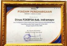 Kepala BKKBN Provinsi Jabar Berikan Penghargaan Gempur MKJP P3A