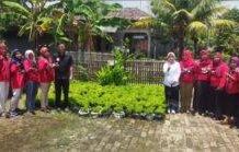 Kelompok Usaha Purna PMI Indramayu Bisnis Produk Daqun Teh The Jinten