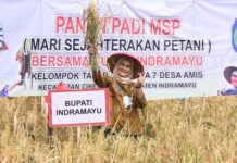 Bupati Indramayu Terima Tanda Kehormatan Satyalancana Wira Karya dari Presiden RI