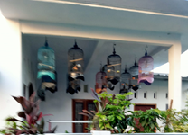 Waspada Peliharaan Burung Mati Di Kandang Tidak Kuat Cuaca Panas