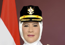 Memahami Visi Dan Misi Bupati Indramayu Nina Agustina