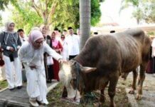 Bupati Nina: “Semoga Semangat Berkurban Membawa Kedamaian Dan Keberkahan Bagi Kita Semua”