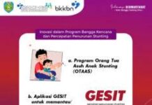 Luar Biasa Bupati Nina Agustina Terima Penghargaan Manggala Karya Kencana