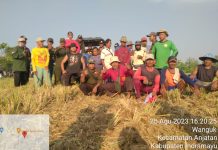 Petani Desa Sidadadi Pertahankan Hak Garap Yang Di Klaim Al Zaytun