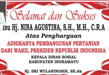 ADVERTISING:Bupati Indramayu Nina Agustina Terima Penghargaan Adhikarya Pembangunan Pertanian