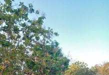 Ketua PWI Indramayu Melepas Jenazah Wartawan Alm Warji Supriyadi