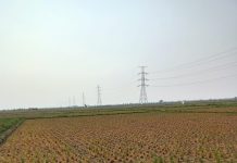 Ancaman Kekeringan Mulai Dirasakan Petani Padi Di Kabupaten Indramayu