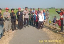 Tingkatkan Produksi Hasil Panen Padi Wilayah Kecamatan Bangodua