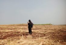 Damkar Indramayu Siaga Antisipasi Kebakaran Hutan