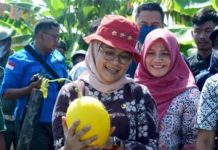 Pemkab Indramayu Target Untuk Ketahanan Pangan