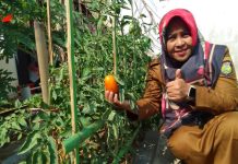 Program Puspa Pangan (Puspa) Edukasi Masuk Lingkungan Sekolah