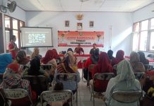 Pengasuhan Sehat Balita Percepatan Penurunan Angka Stunting