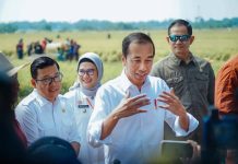 Bupati Indramayu Nina Agustina Dampingi Presiden Jokowi Panen Raya Di Desa Karanglayung