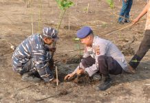 Peringati HUT ke-72 Humas Polri Polres Indramayu Tanam Mangrove Di Pantai Karangsong