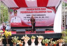 Kepala Pusat Perlindungan Varietas Tanaman Dan Perizinan Pertanian (PVTPP) Kementan RI Lely Nuryati Varietas Padi lokal Unggul Dharma Ayu Nina “DNA”