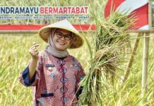 Bupati Indramayu Pastikan Persiapan Musim Tanam Padi Rendeng Awal Desember 2023