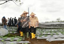 Pj Gubernur Sumut Hassanudin Optimis Dairi Bisa Jadi Lumbung Pangan