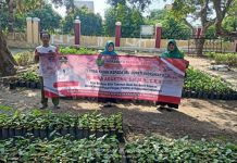 Bibit Cabe 3200 Batang Untuk Kader PKK Tanam Di Pekarangan Rumah